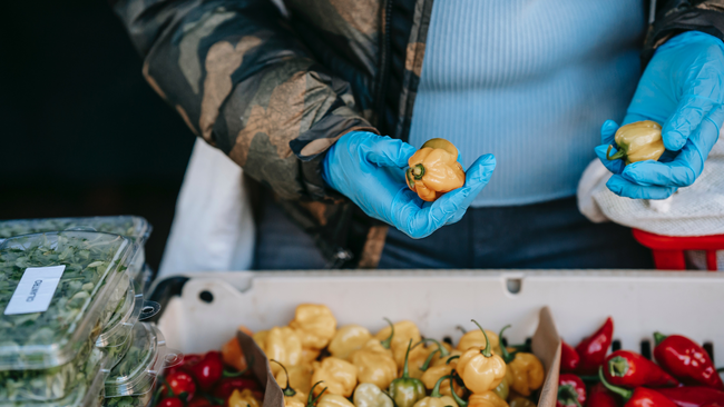 Someone holding vegetables and a bin of vegetables.